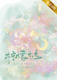 柠檬挞
